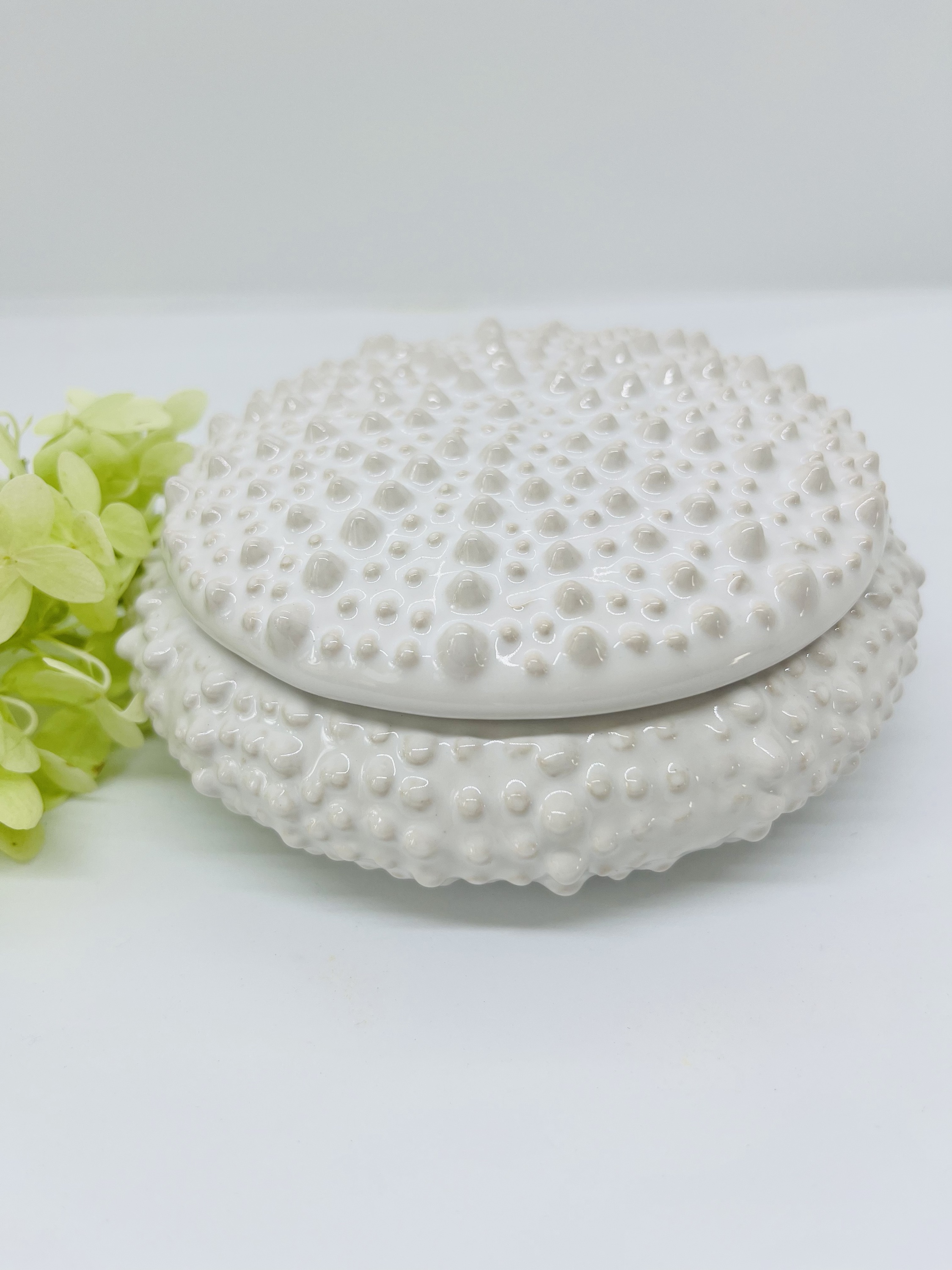 “Sea Urchin”
Ceramic container
