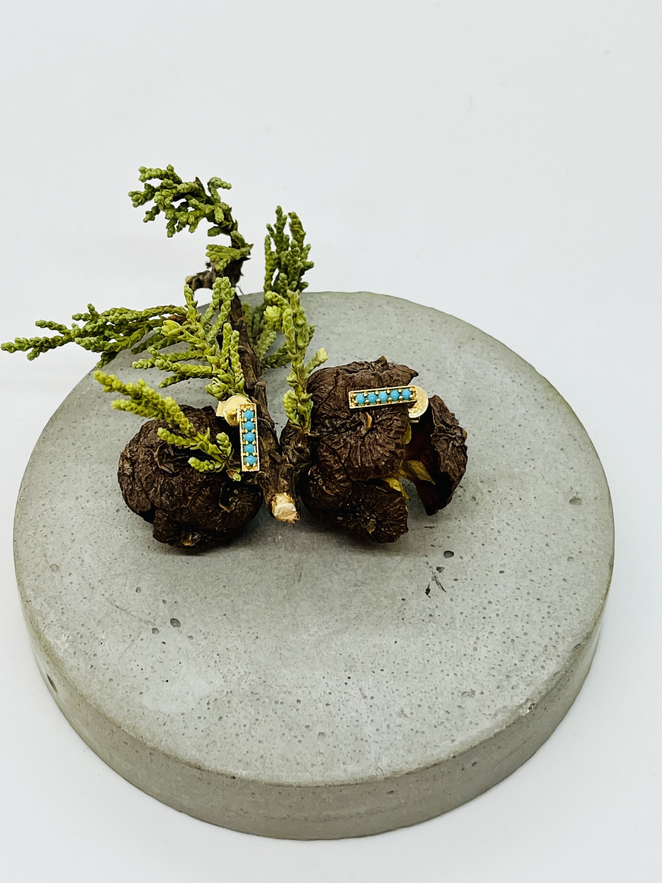 Turquoise bar earrings