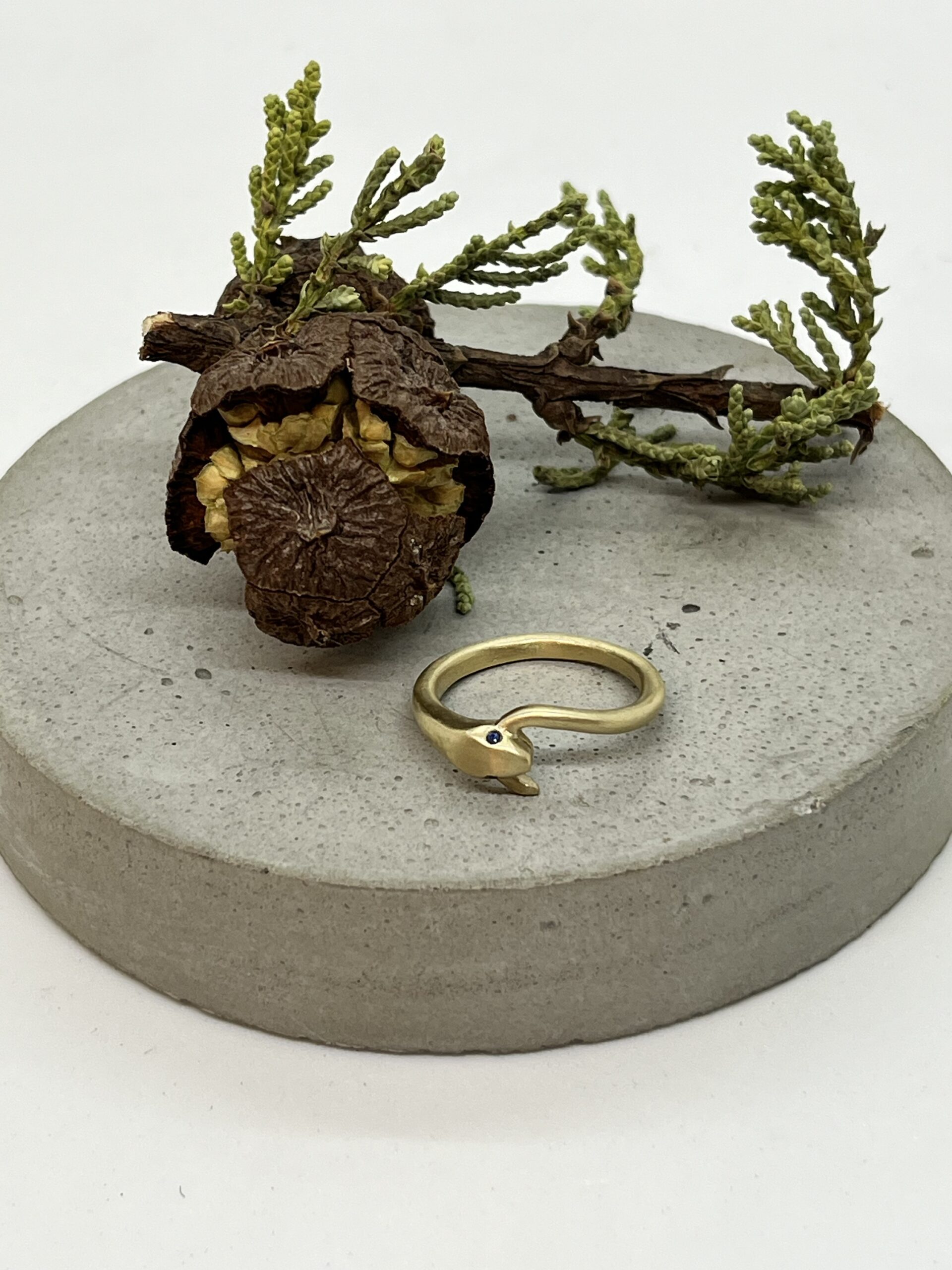 Michelle Chang
Snake Tail Ring