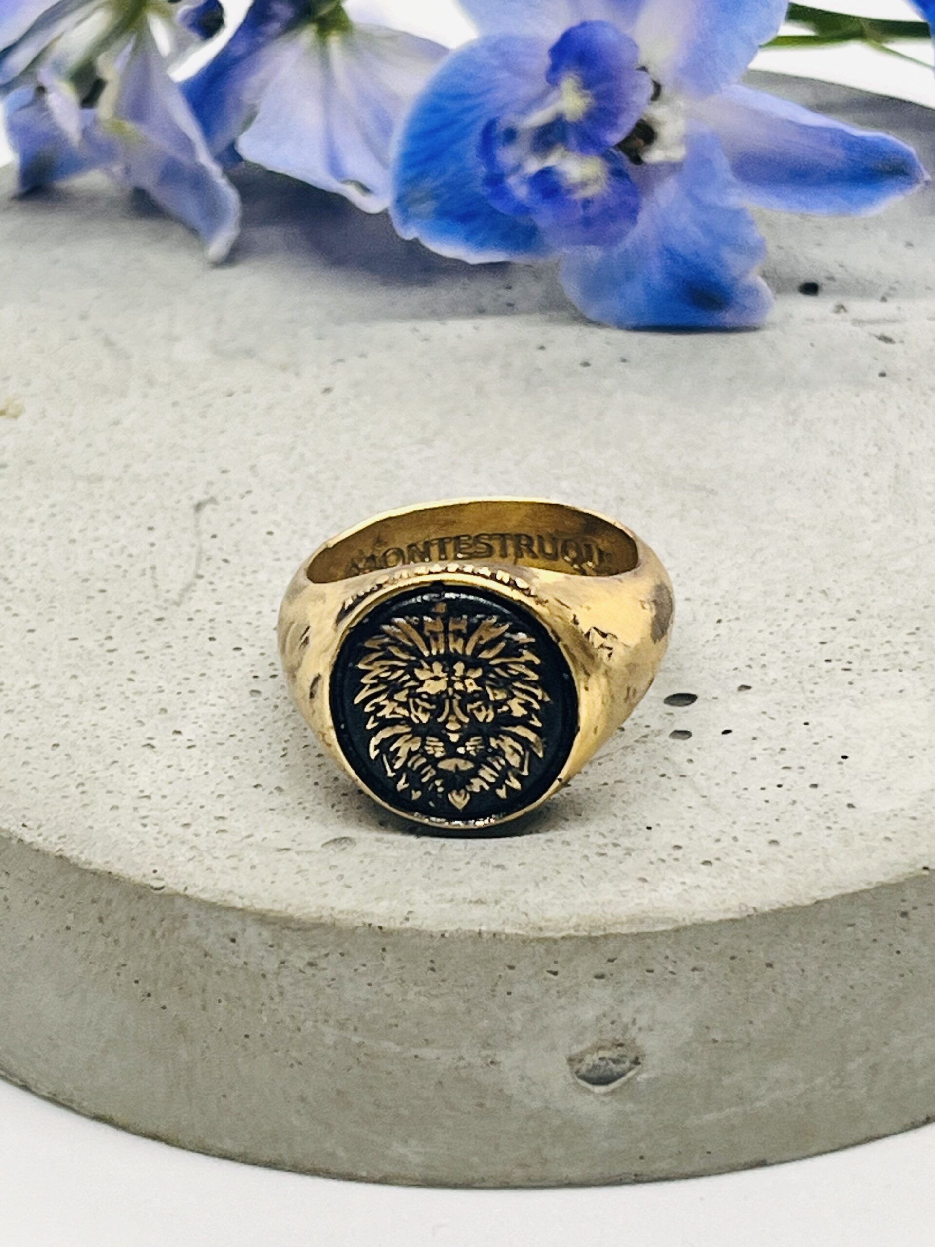 Montestruque 
The Guardian Ring-Bronze