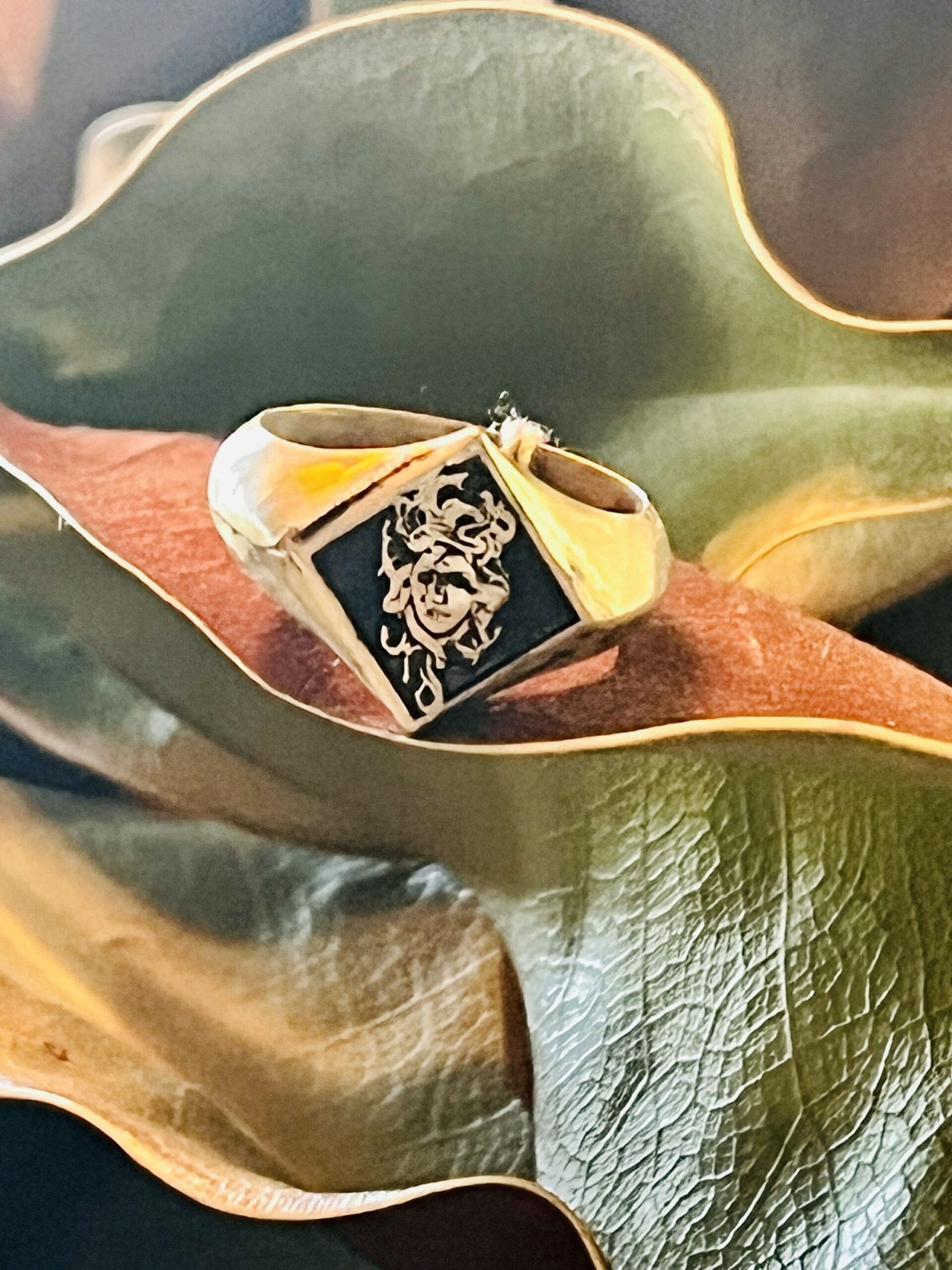 Montestruque 
Medusa Ring-Bronze