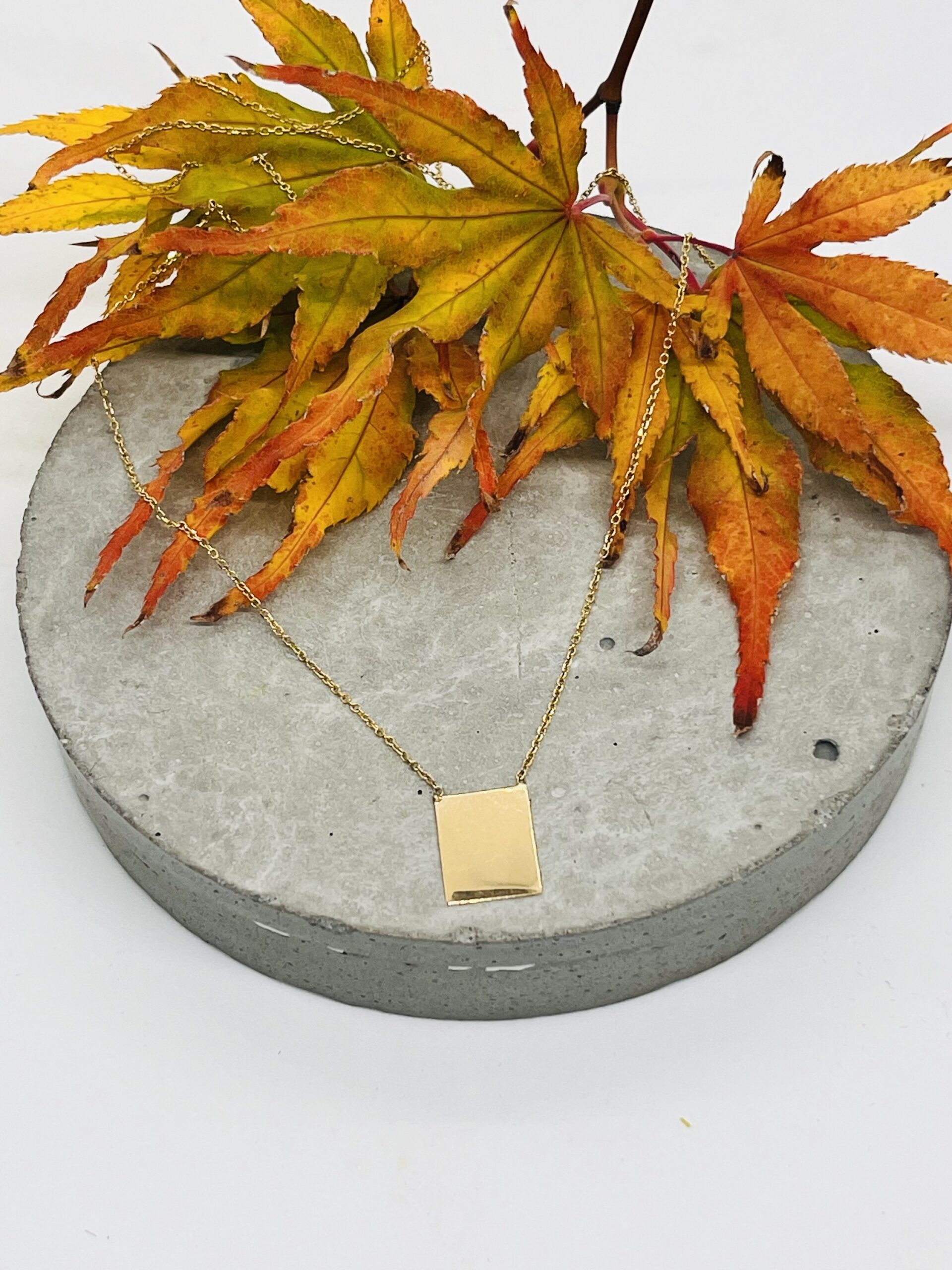 Vale Jewelry-Rectangle Plate Necklace