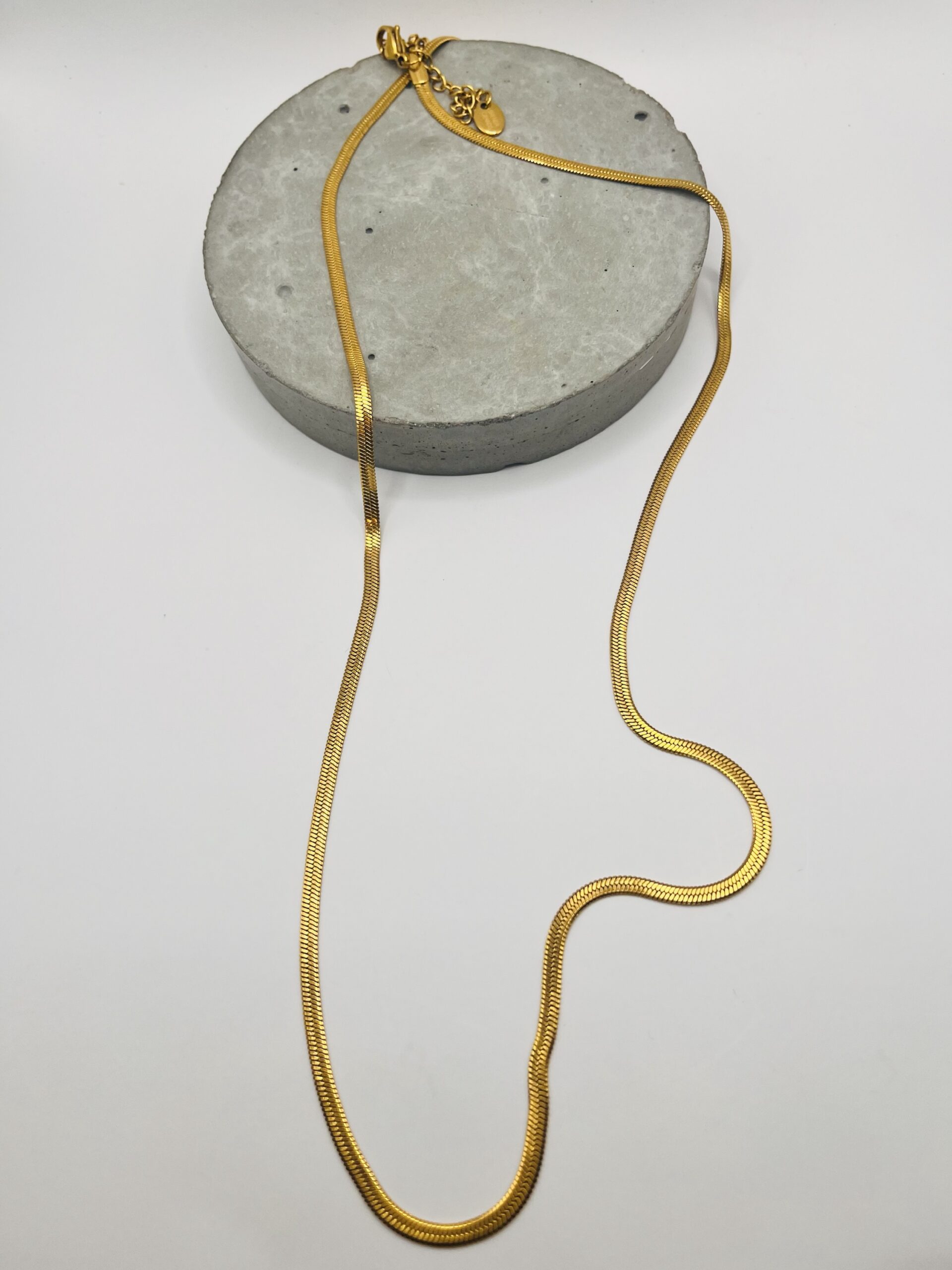 Brenda Grands Jewelry-Waterproof Gold Herringbone Long Necklace